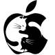 MÈO APPLE